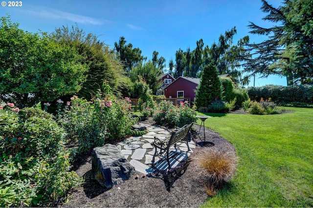 view of yard with a patio area