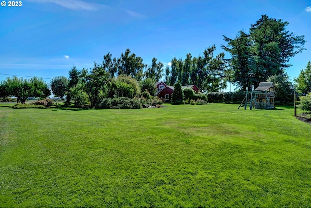 view of yard featuring a playground