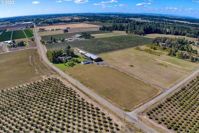 birds eye view of property featuring a rural view