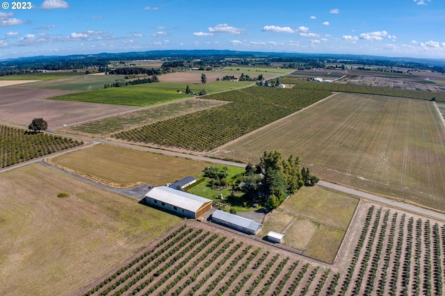 birds eye view of property featuring a rural view