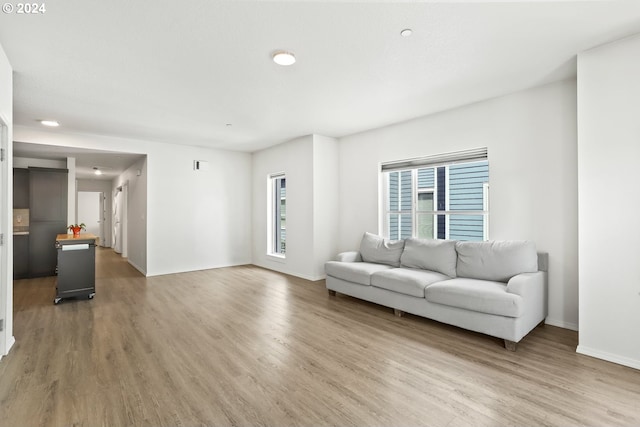 living room with light hardwood / wood-style flooring