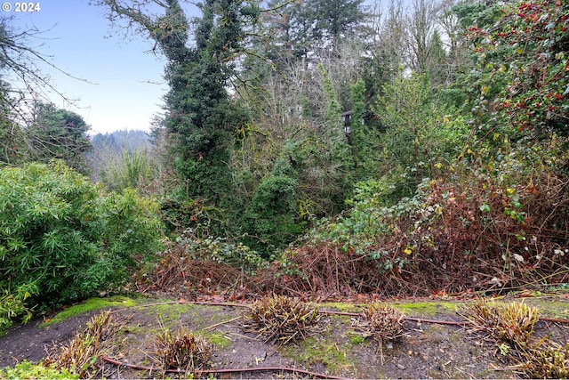 0 SW Canning St, Portland OR, 97201 land for sale