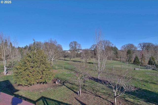 view of yard with a rural view