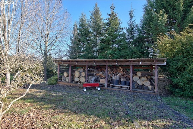 view of yard featuring an outbuilding