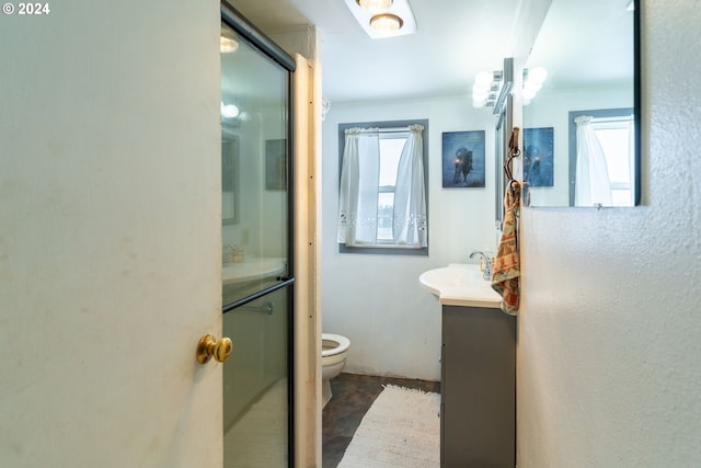 bathroom featuring a shower with door, vanity, and a healthy amount of sunlight