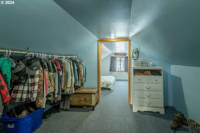 walk in closet featuring carpet floors and vaulted ceiling