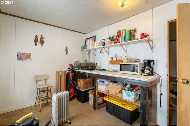 storage room featuring radiator