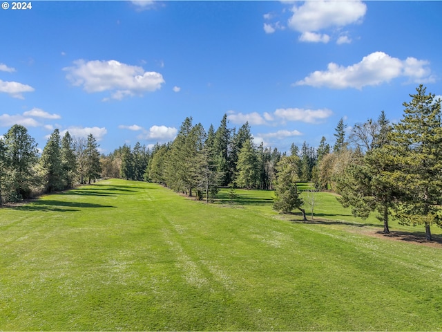 view of community featuring a lawn