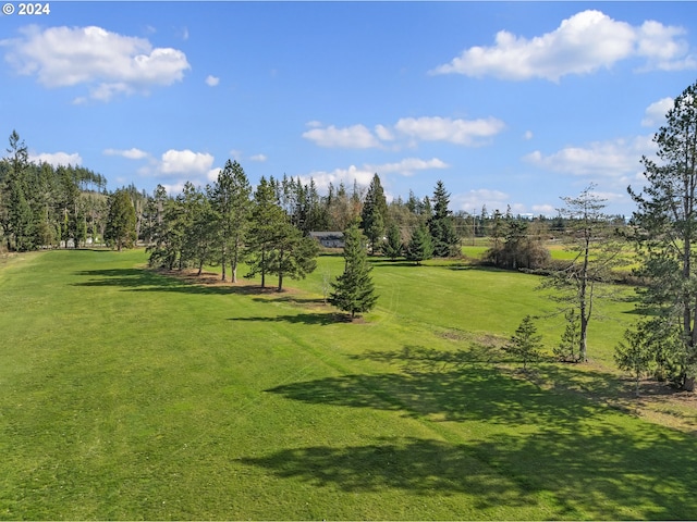 view of property's community featuring a yard