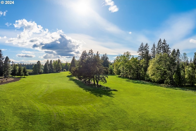 view of community featuring a lawn