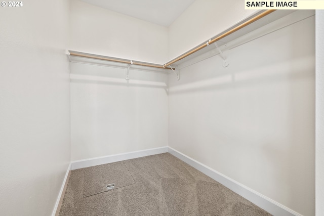 walk in closet featuring carpet