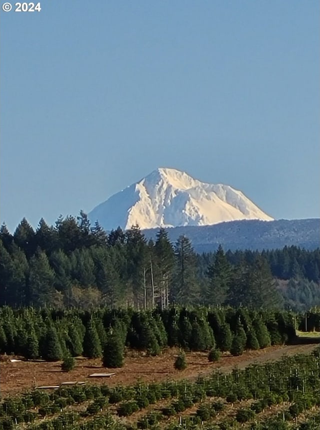 view of mountain feature