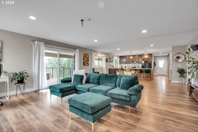 living room with light hardwood / wood-style floors