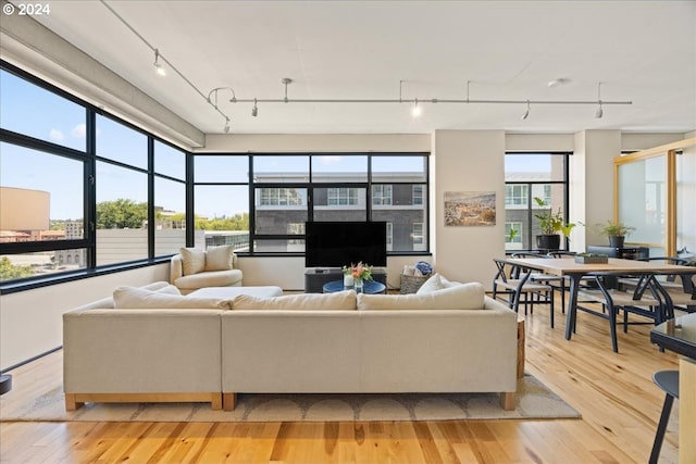 living room with track lighting and light hardwood / wood-style floors