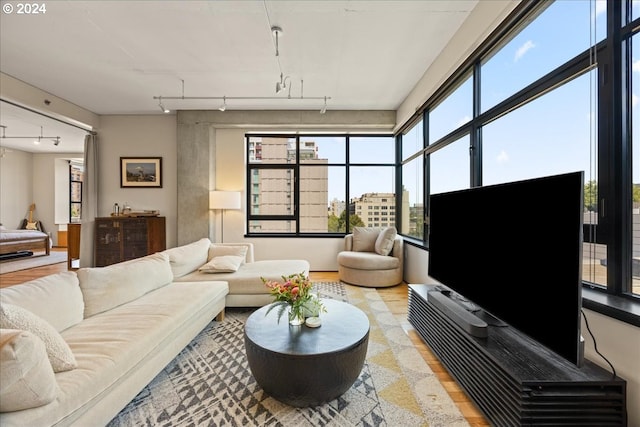 living room featuring hardwood / wood-style flooring and plenty of natural light