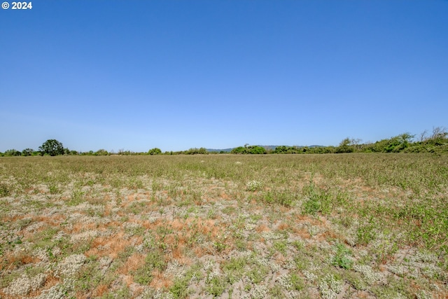 view of local wilderness featuring a rural view