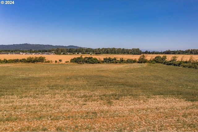 property view of mountains with a rural view