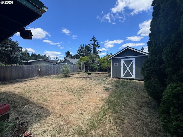 view of yard with a shed