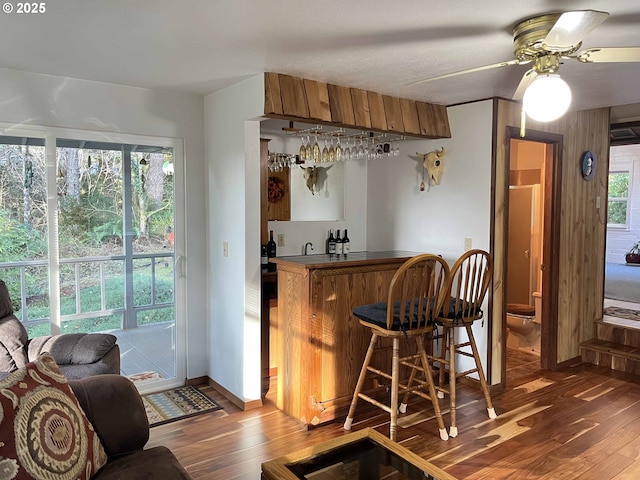 bar featuring ceiling fan and dark wood-type flooring