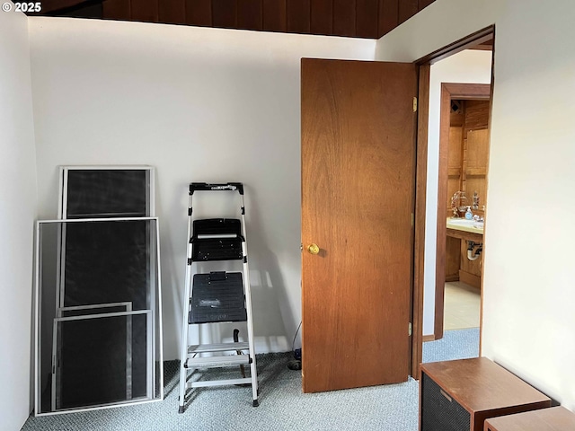 miscellaneous room with carpet floors