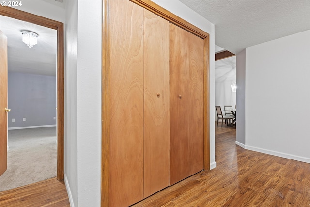 hall featuring wood-type flooring and a textured ceiling