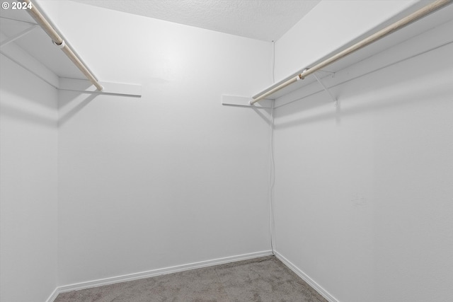 spacious closet featuring light carpet