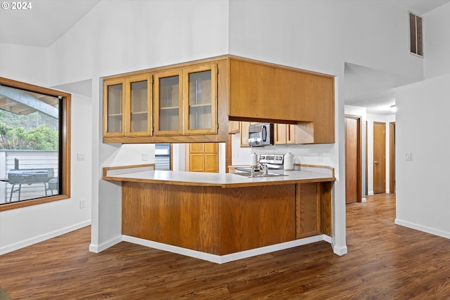 kitchen featuring sink, high vaulted ceiling, and kitchen peninsula