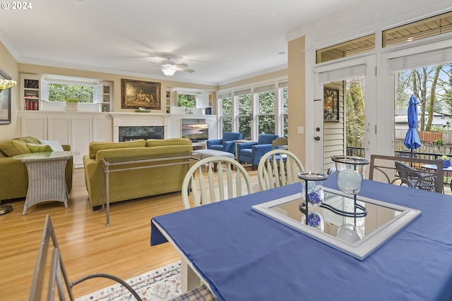 dining area featuring ornamental molding, ceiling fan, and light hardwood / wood-style flooring