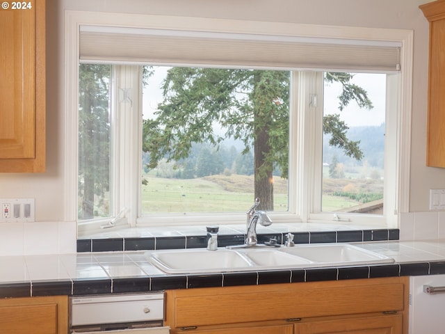 kitchen featuring white dishwasher, tile counters, and sink