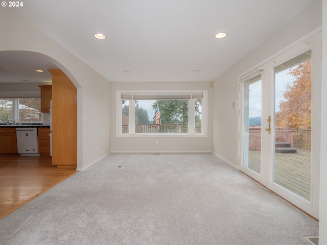 unfurnished living room featuring light carpet and sink