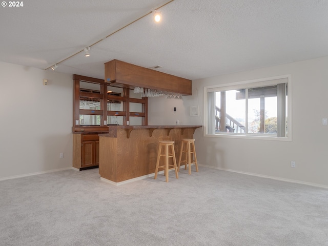 kitchen featuring kitchen peninsula, a textured ceiling, rail lighting, and light colored carpet