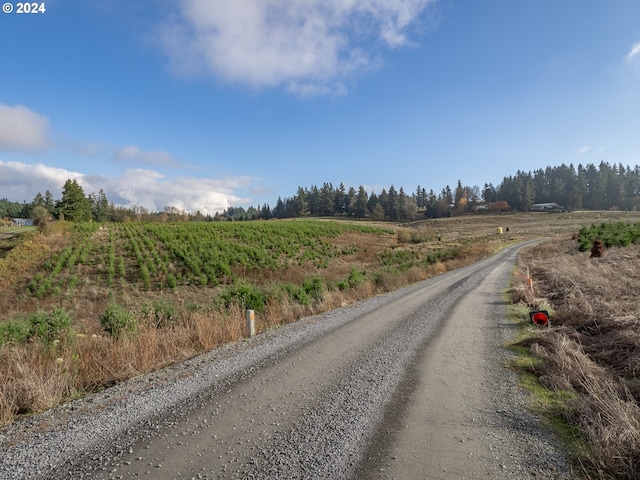 view of street featuring a rural view