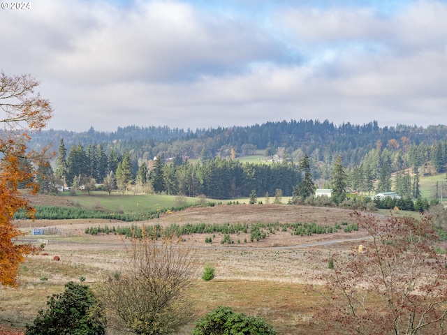 property view of mountains featuring a rural view