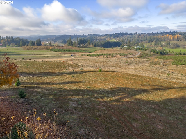 view of mountain feature with a rural view