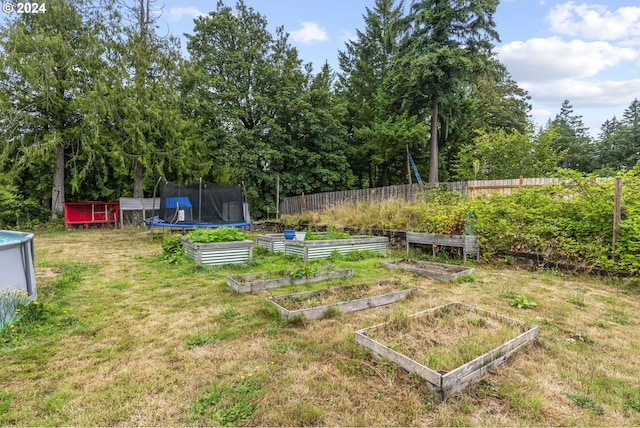 view of yard with a shed and a trampoline