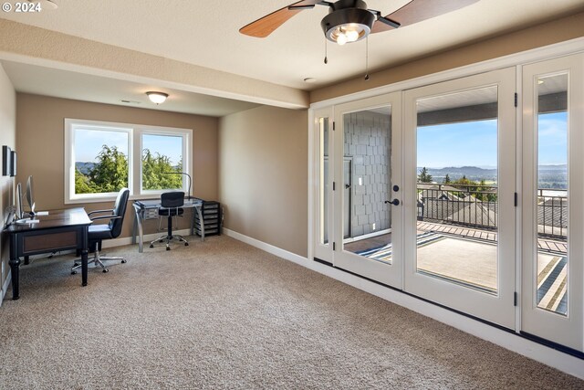 carpeted office with ceiling fan and a mountain view