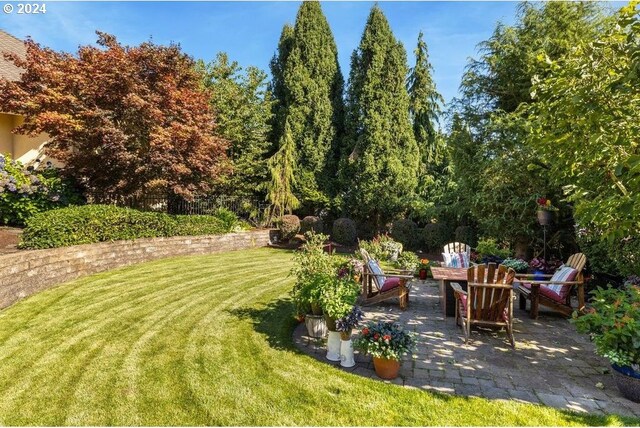 view of yard featuring a patio