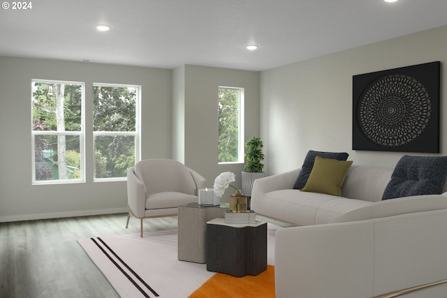 living room featuring light hardwood / wood-style flooring