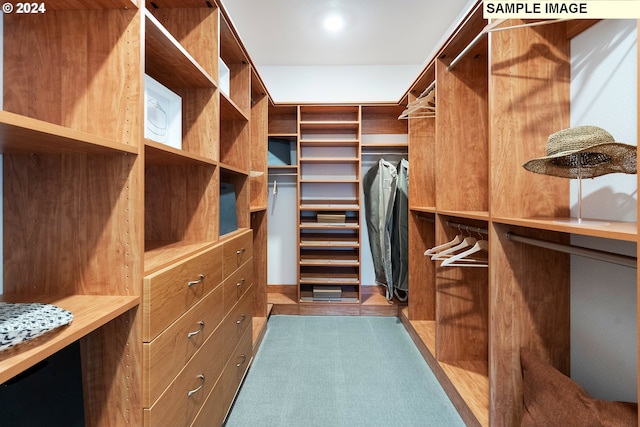 walk in closet featuring light wood-type flooring