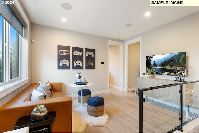 living room with light hardwood / wood-style floors