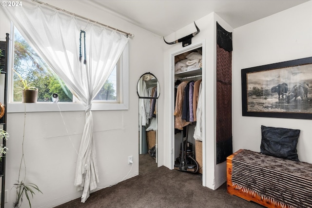 carpeted bedroom with a closet