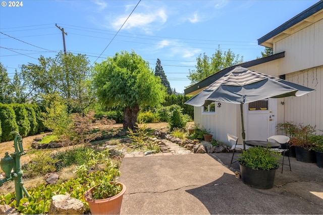 view of yard with a patio