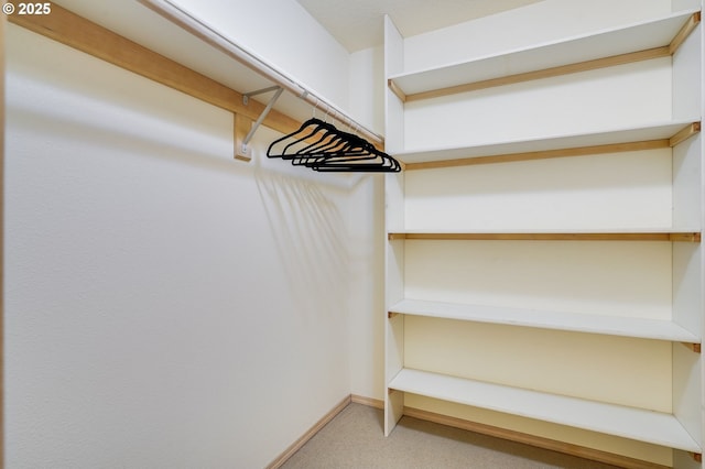 view of spacious closet