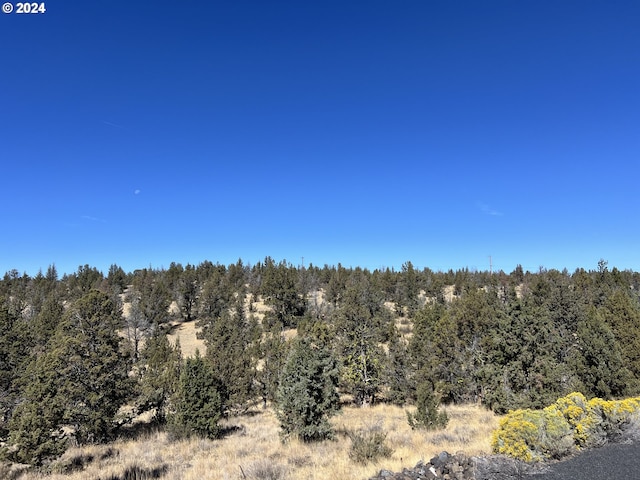 Listing photo 3 for 9777 SE Odessa Rd, Prineville OR 97754