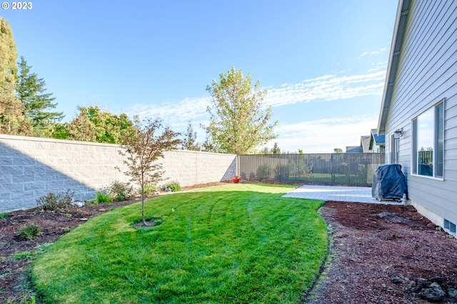 view of yard with a patio