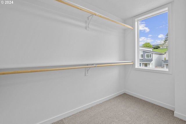 walk in closet featuring carpet