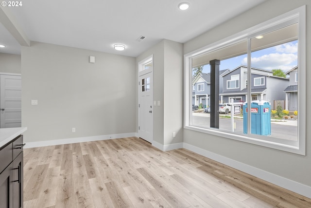 interior space featuring a wealth of natural light and light hardwood / wood-style flooring