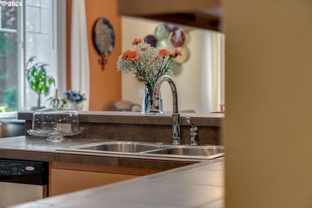 interior details with dishwasher and sink