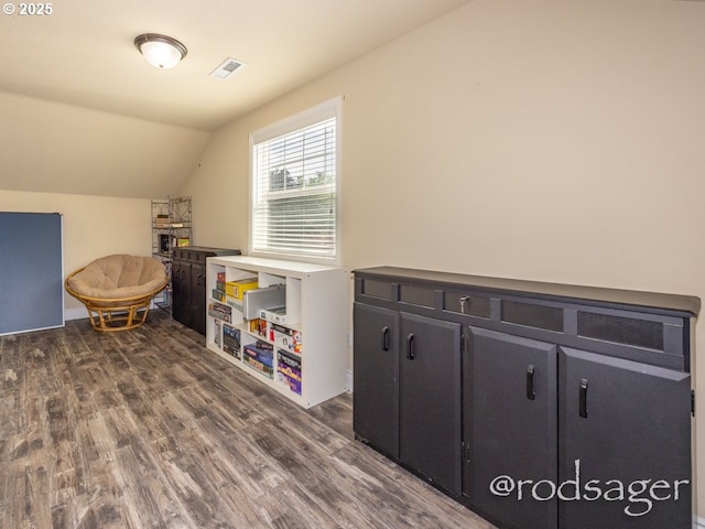 playroom featuring dark hardwood / wood-style floors and lofted ceiling