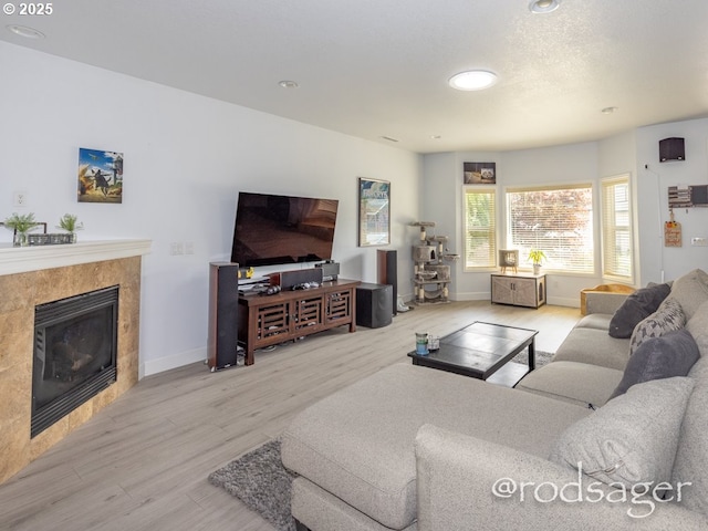 living room featuring wood-type flooring and a fireplace